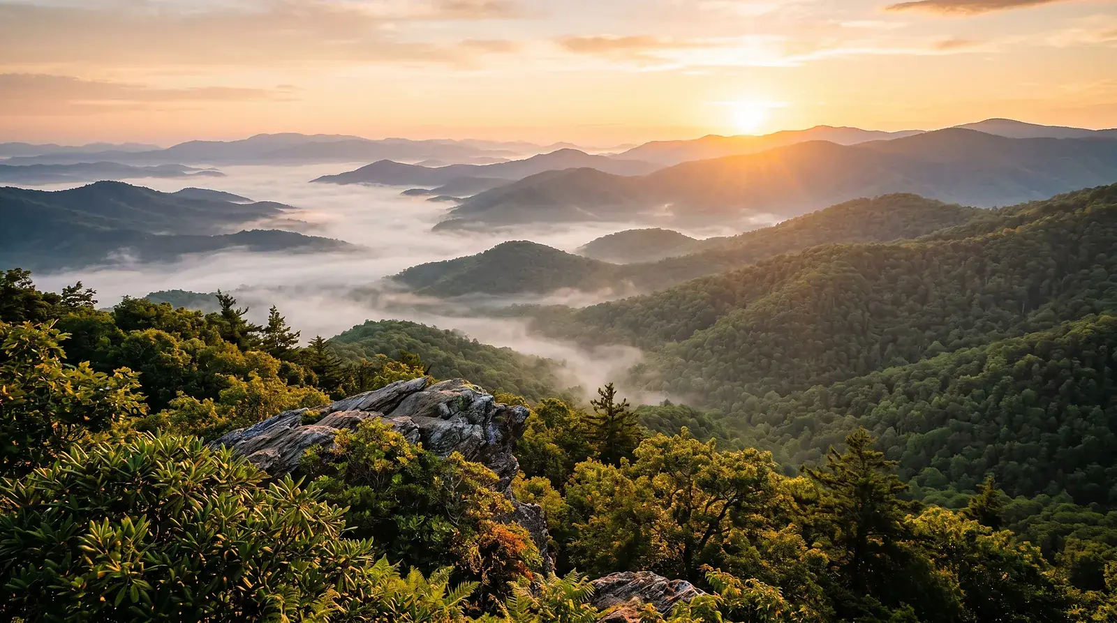 Forested Blue Ridge mountain ridgelines at golden hour in the North Georgia mountains